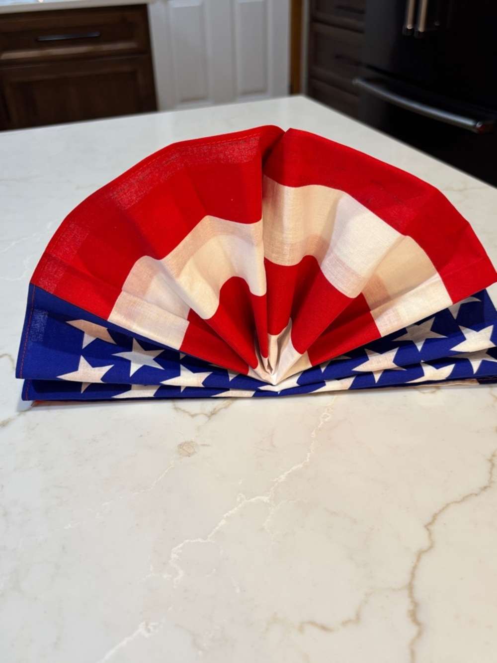 Patriotic Stars & Stripes Decorative Cloth Napkin Set of 12